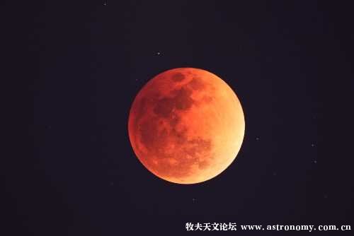 81437387-C40D-4A0C-8A34-F6BA30517934.jpeg