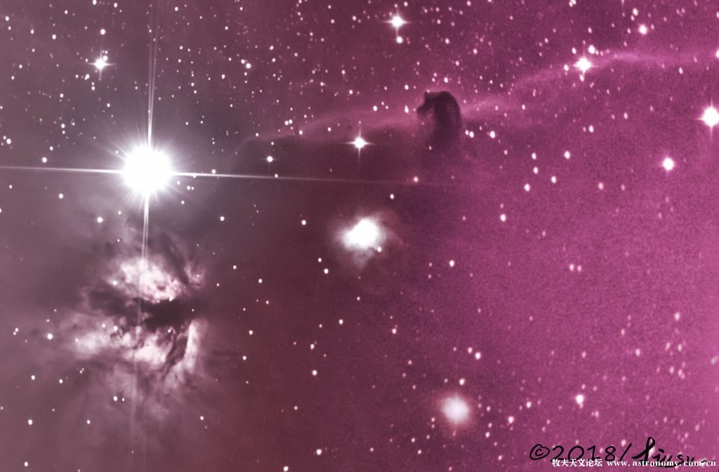 马头星云.jpg