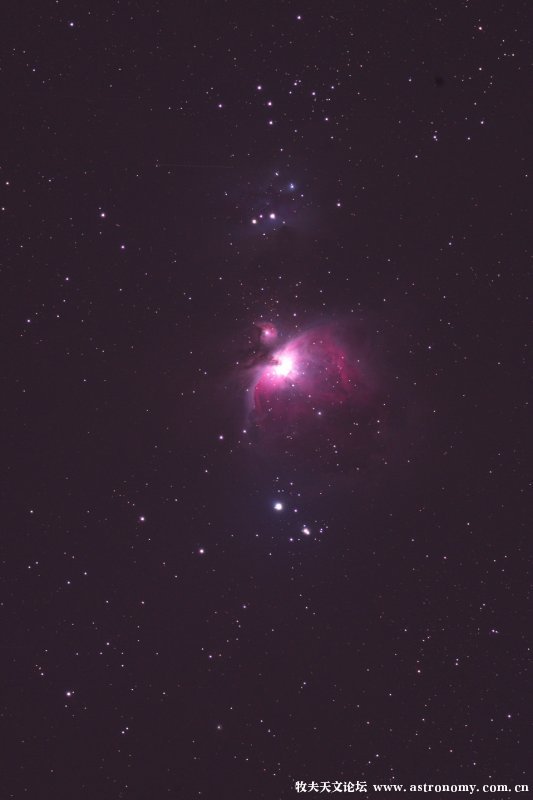 42d.jpg