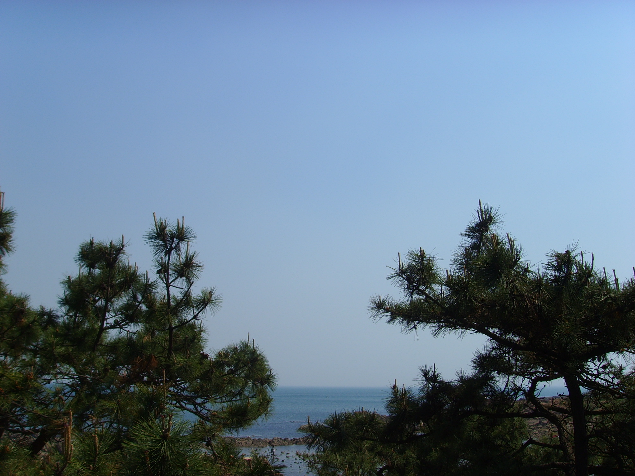 SSL21651.JPG