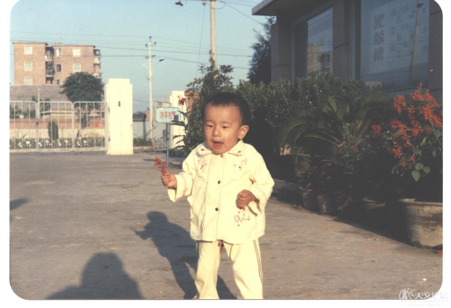 毛毛 002.jpg