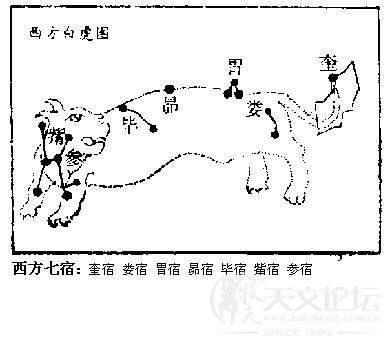 西方白虎2.jpg
