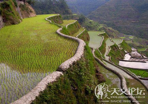 第2名：菲律宾伊富高的巴拿威梯田（Banaue Rice Terraces）.qq.jpg