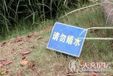 西湖边草地上立着“请勿嬉水”的告示牌。