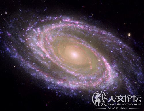 m81new.jpg