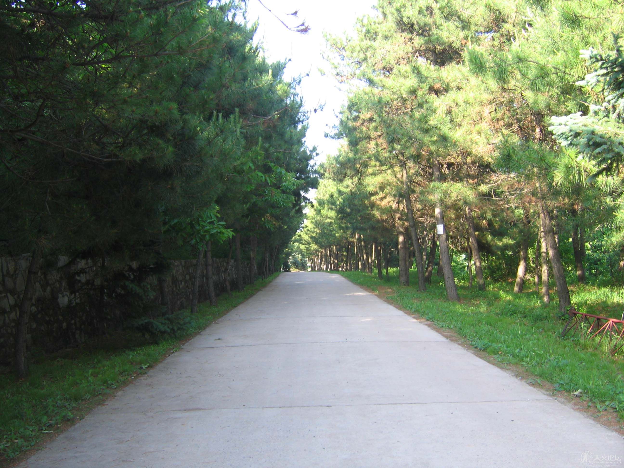 主路 1.jpg