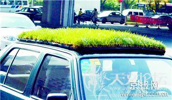 草.jpg