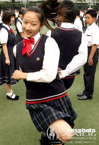 4305336.jpg