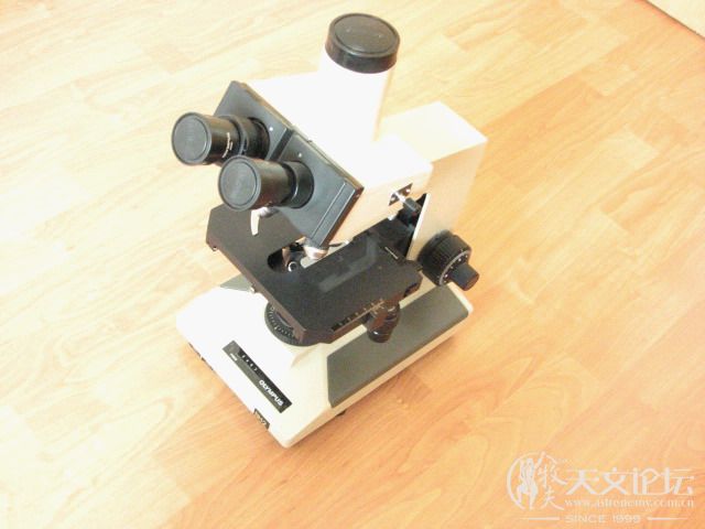 照片 003.jpg