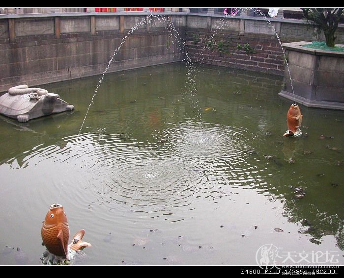 DSCN5658.jpg