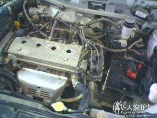 IMAGE_007.jpg