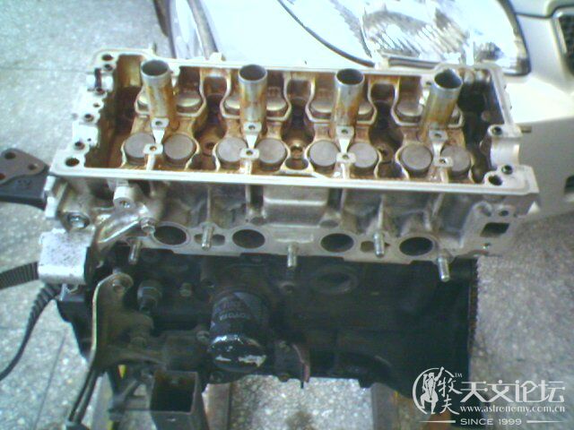 IMAGE_006.jpg