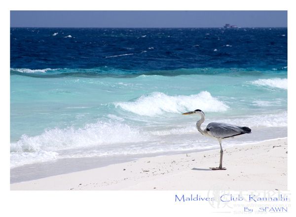 maldives005.jpg