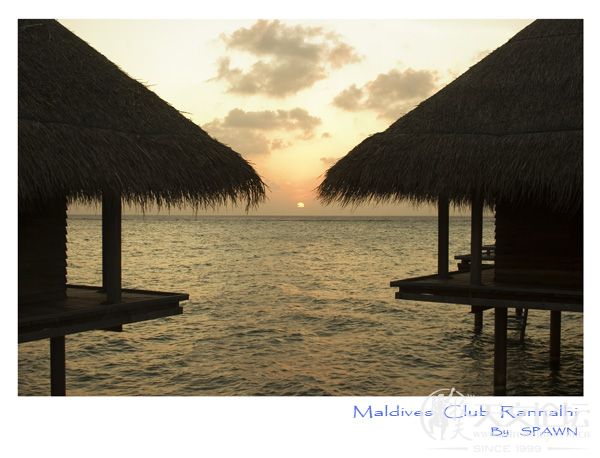 maldives009.jpg