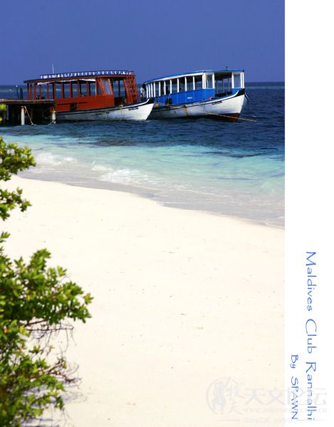 maldives018.jpg