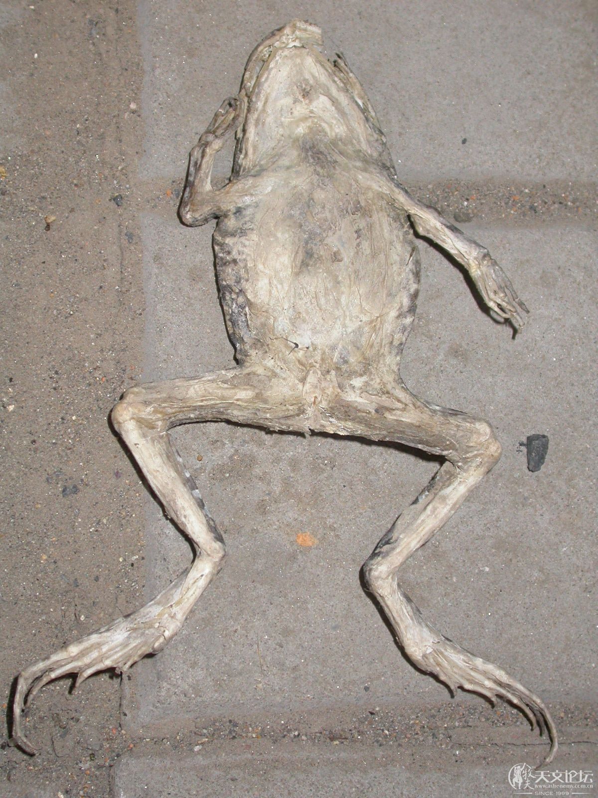 DSCN4354.JPG