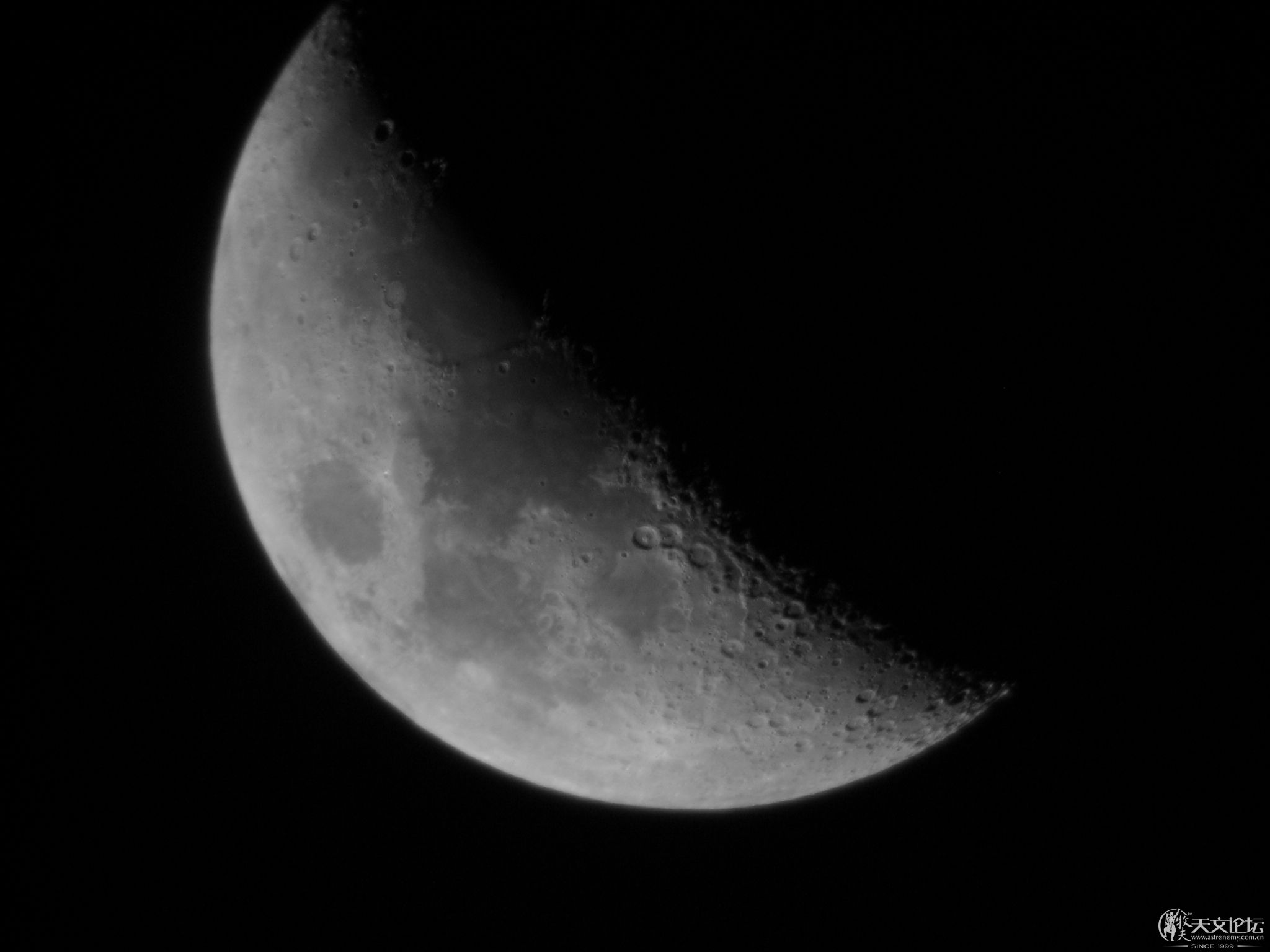 IMG_0403.jpg