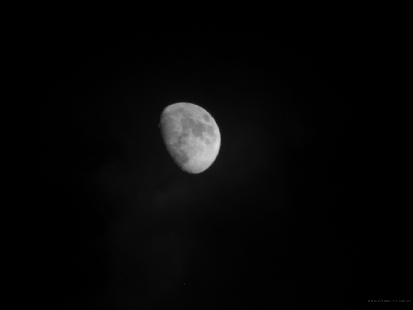 IMG_2257.jpg