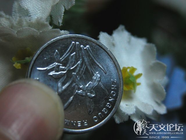 Image00009.jpg