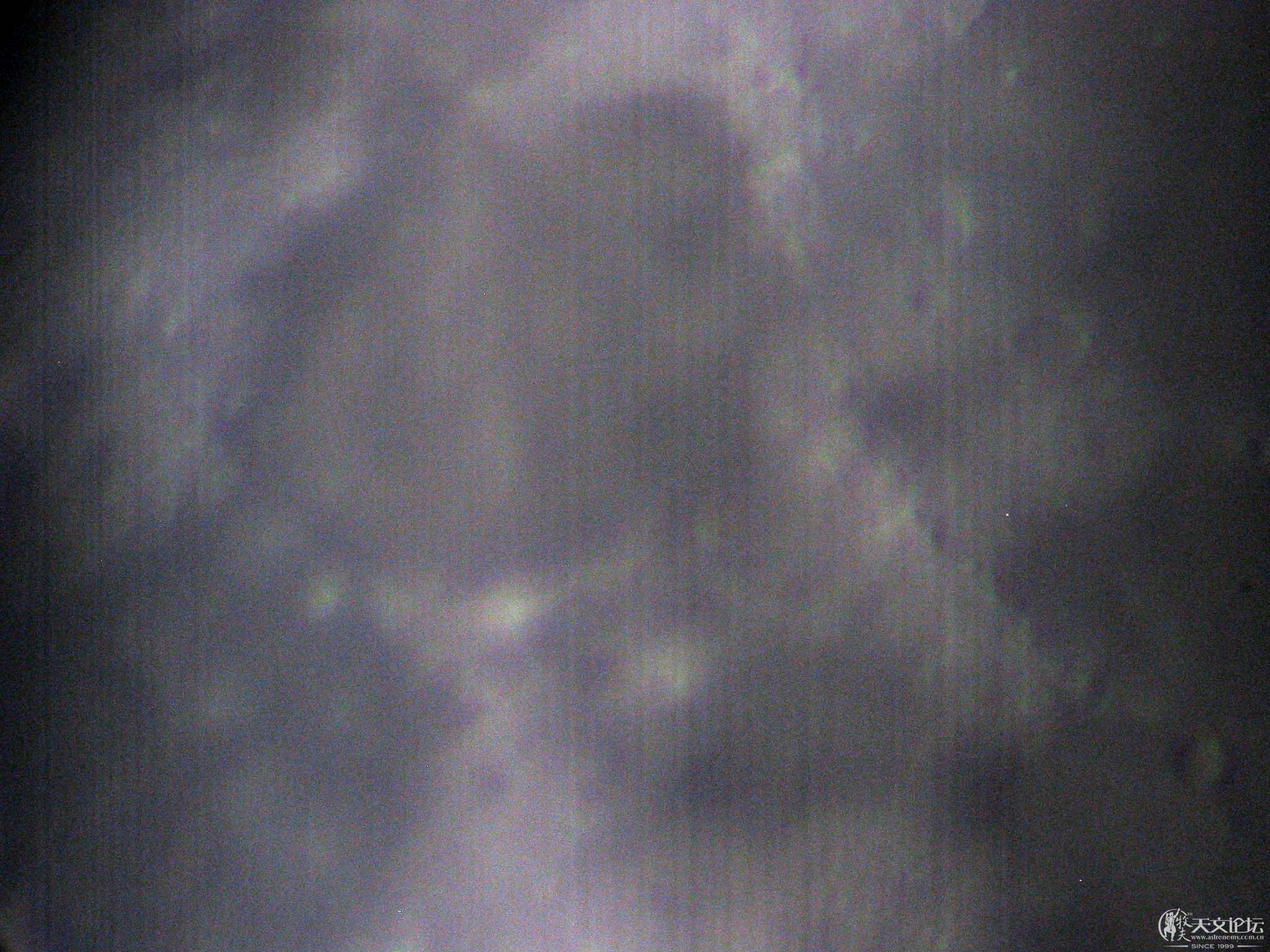 IMG_1290.jpg