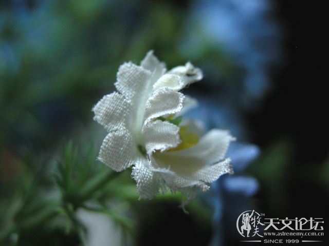 Image00008.jpg