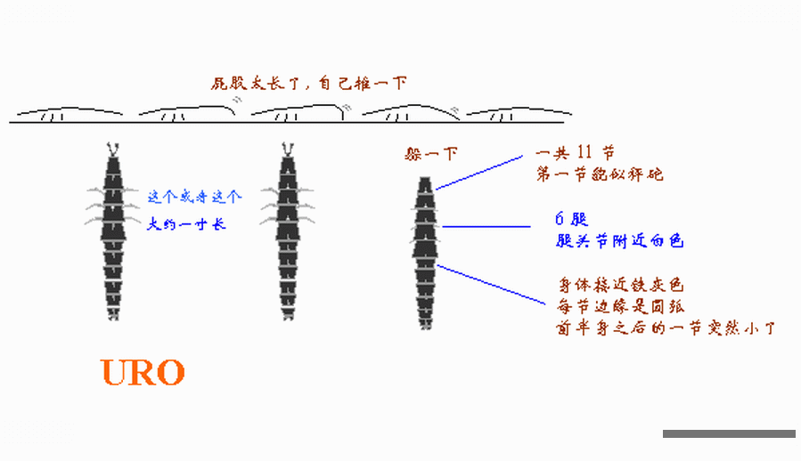 URO.gif