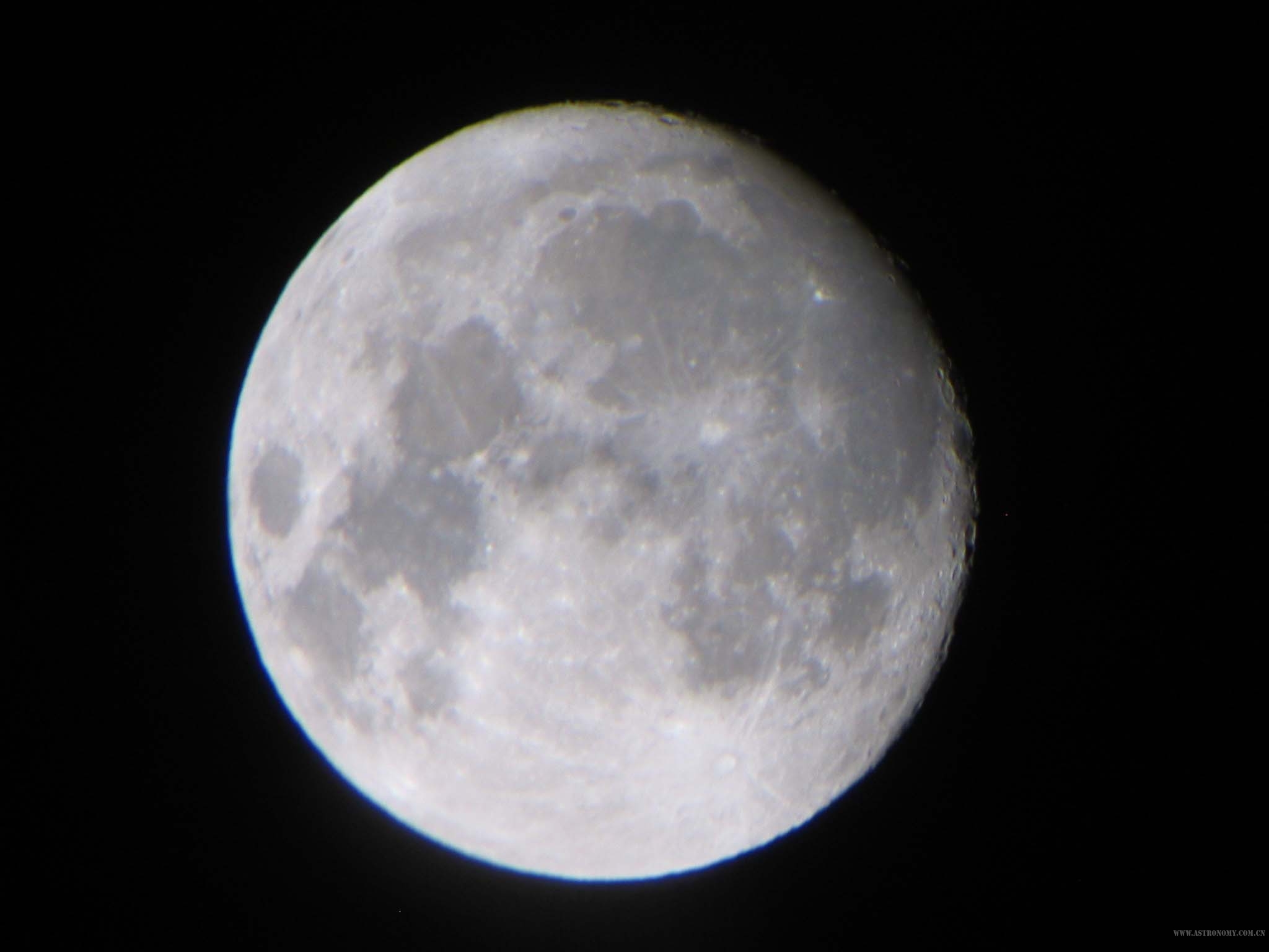 IMG_1294.jpg