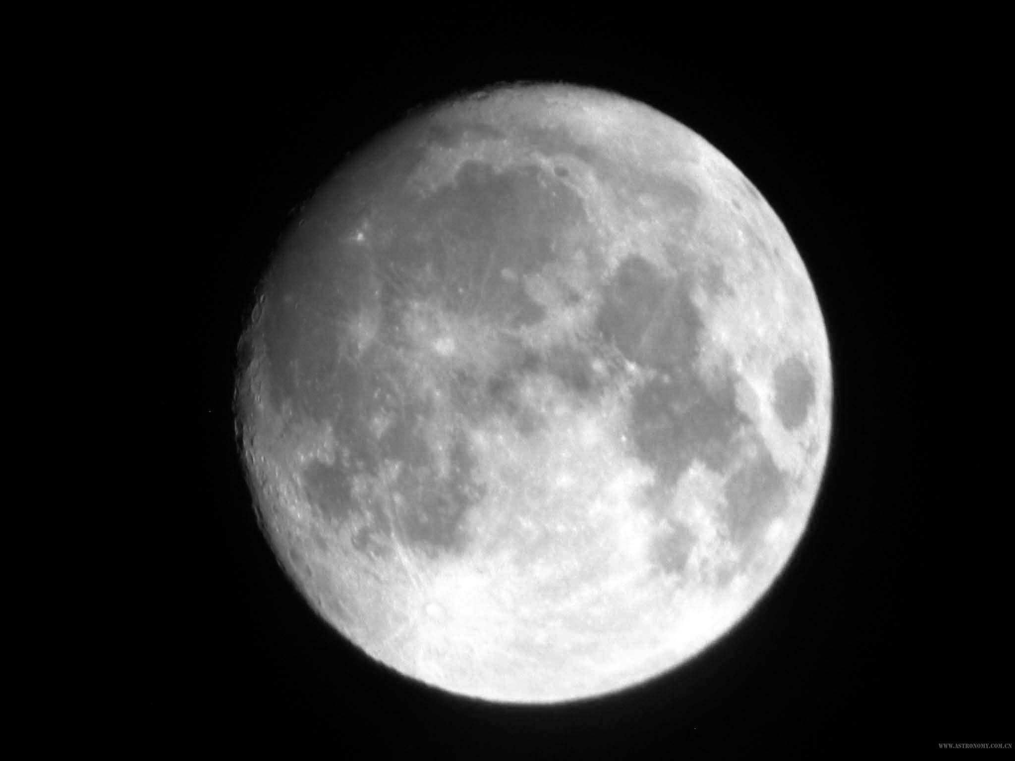 IMG_1294b.jpg