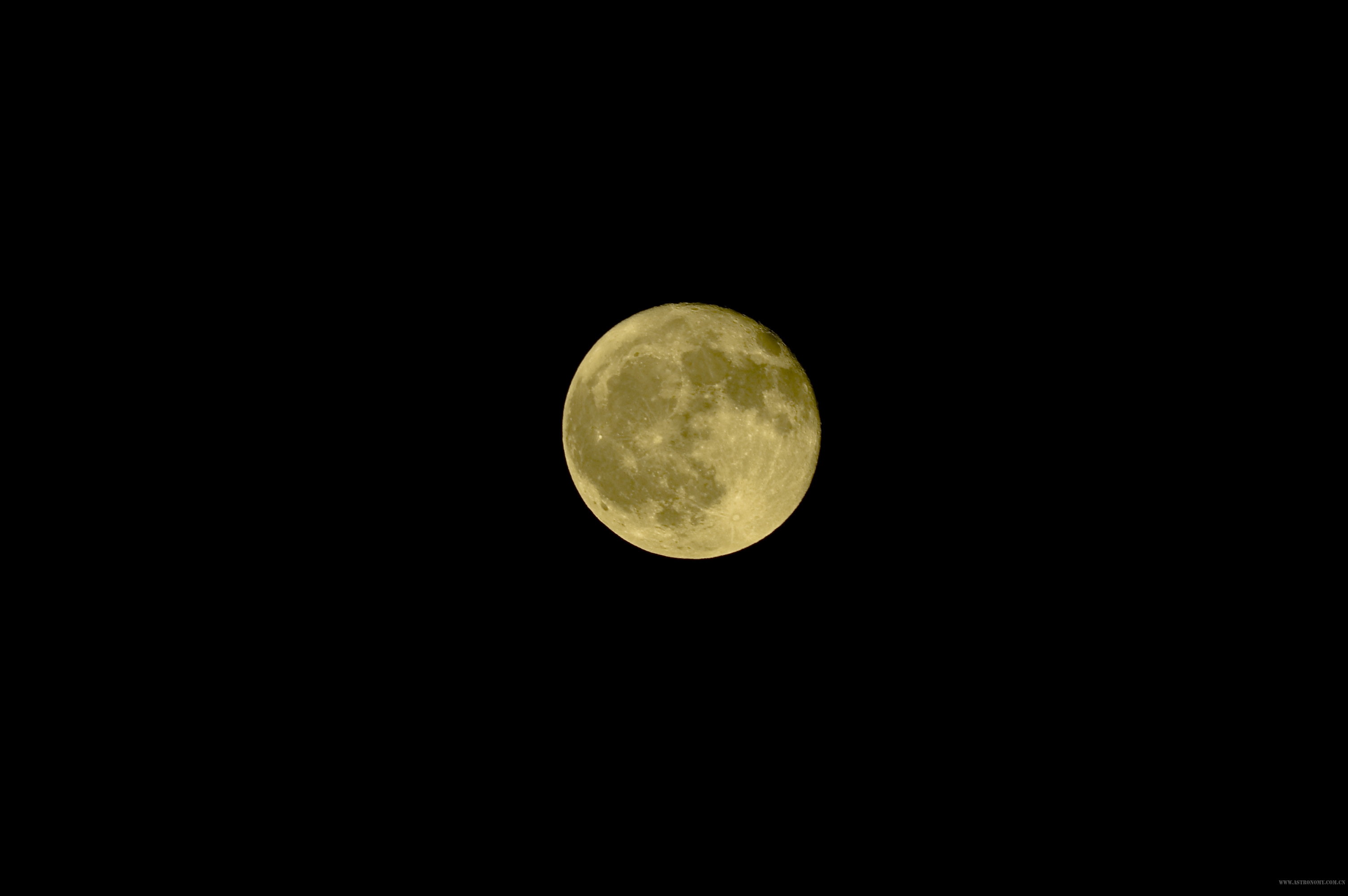 DSC_2631_01.jpg