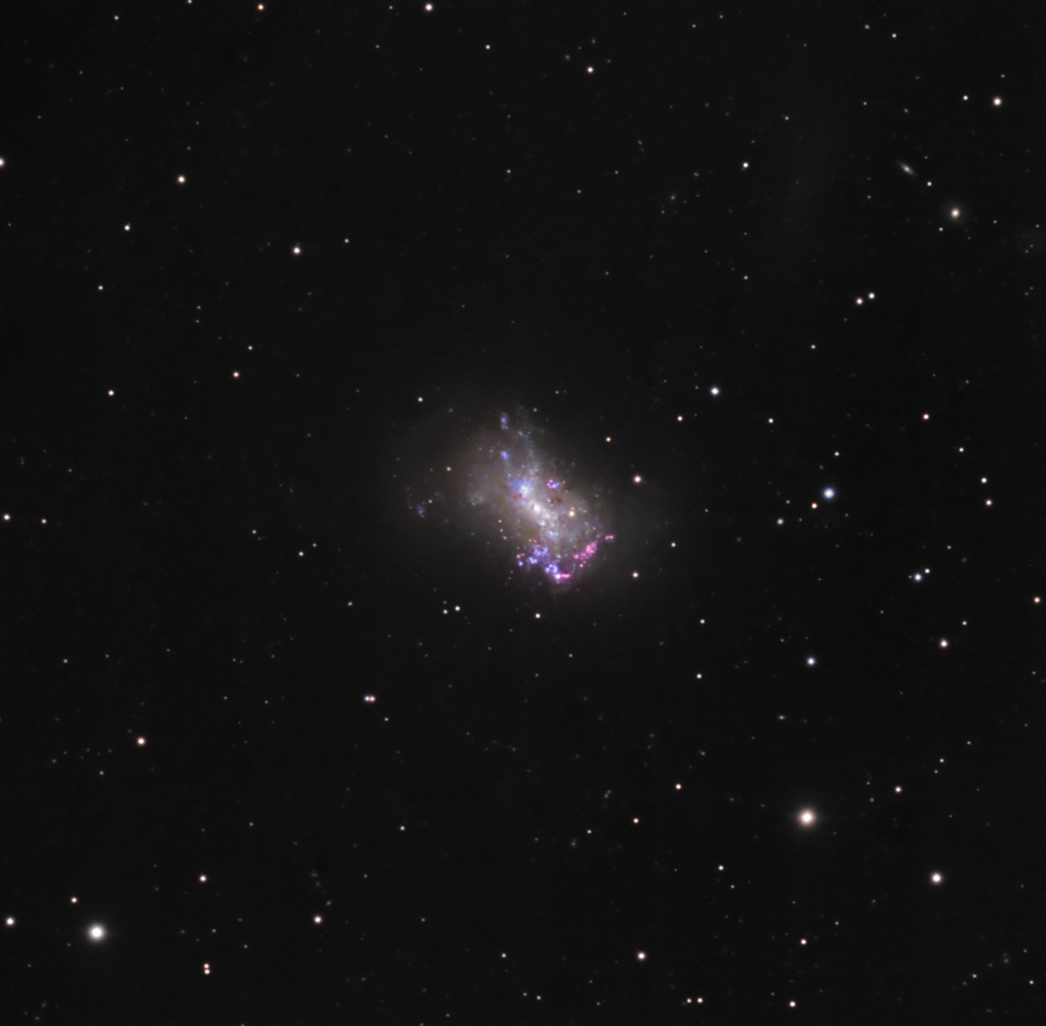 ngc4449_hager.jpg