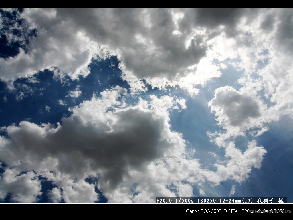 IMG_20070708_3226.jpg