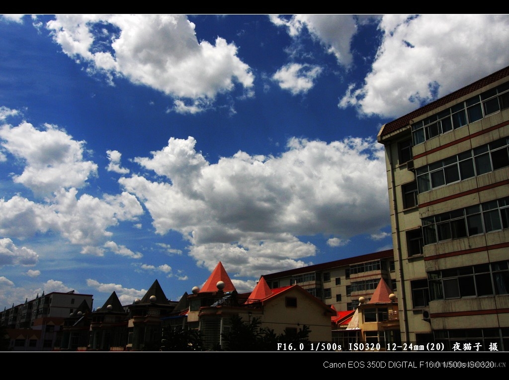 IMG_20070708_3223.jpg