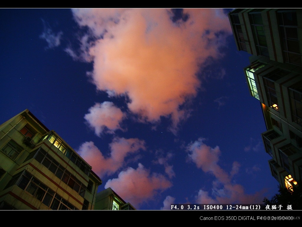 IMG_20070708_3237.jpg