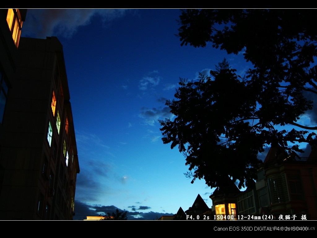 IMG_20070708_3233.jpg