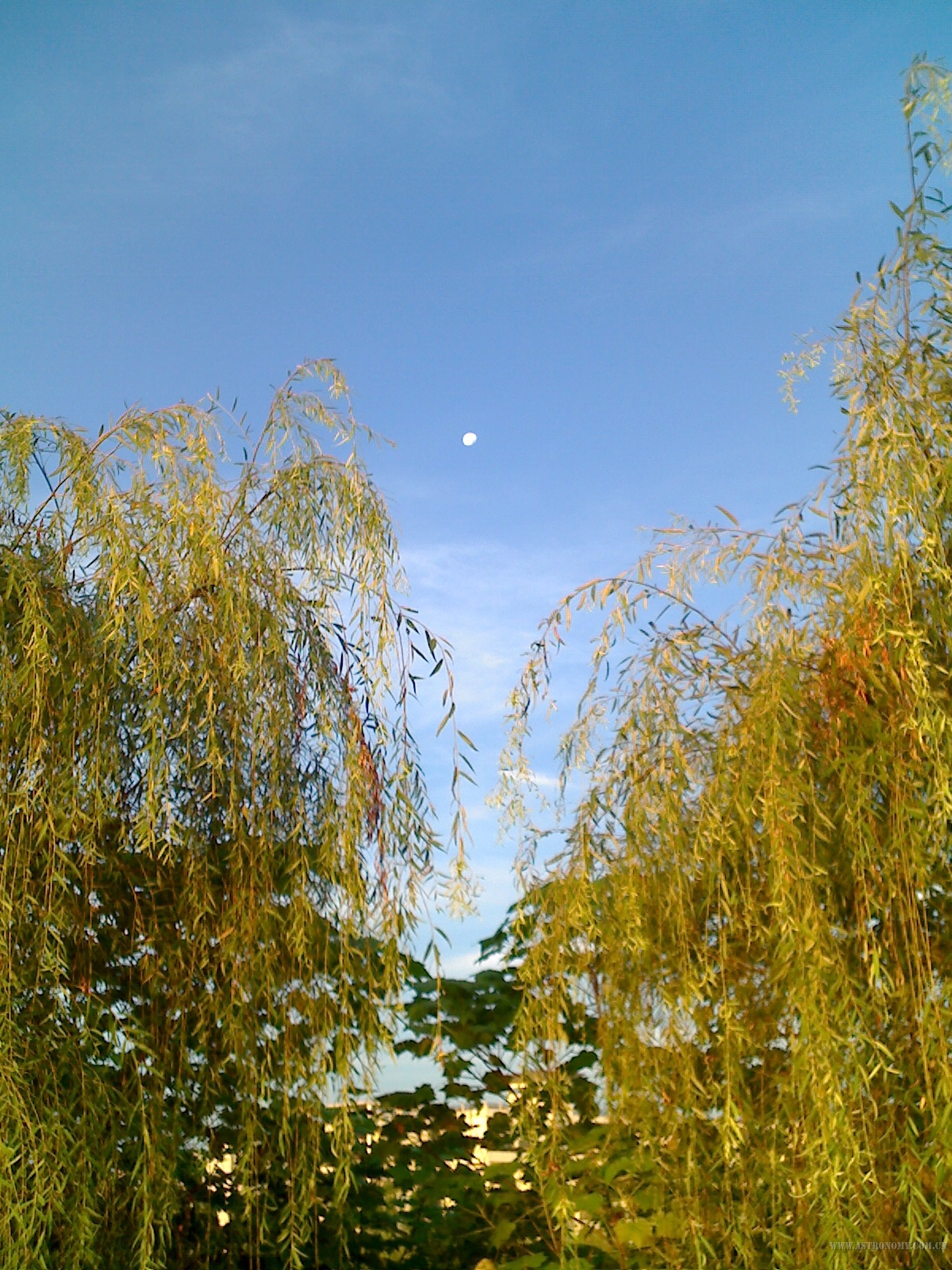 0704_060444.jpg