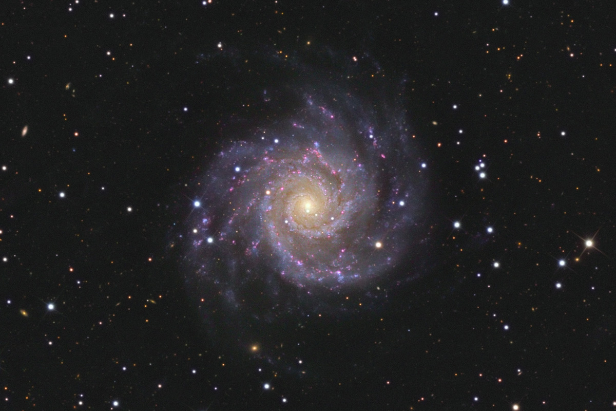 m74.jpg