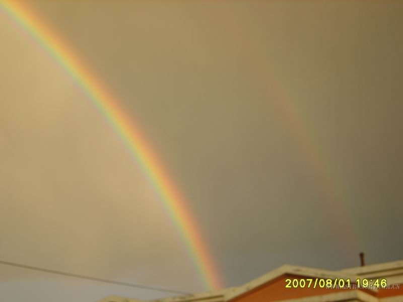 S8000874.JPG