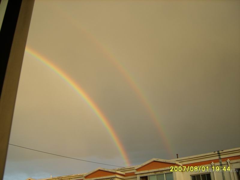 S8000871.JPG