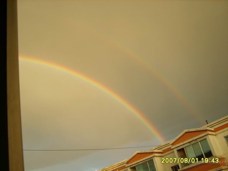 S8000869.JPG