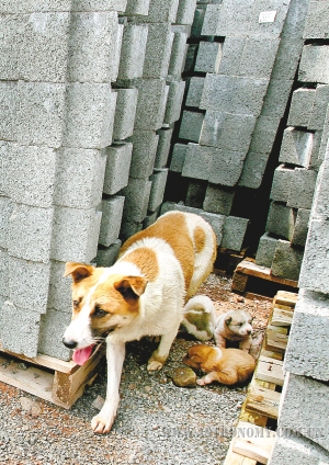 212_431038541.jpg
