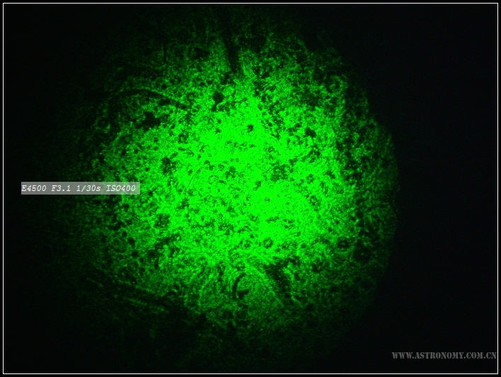DSCN5128.jpg