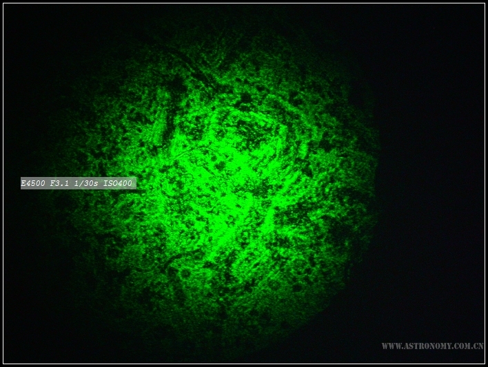 DSCN5129.jpg