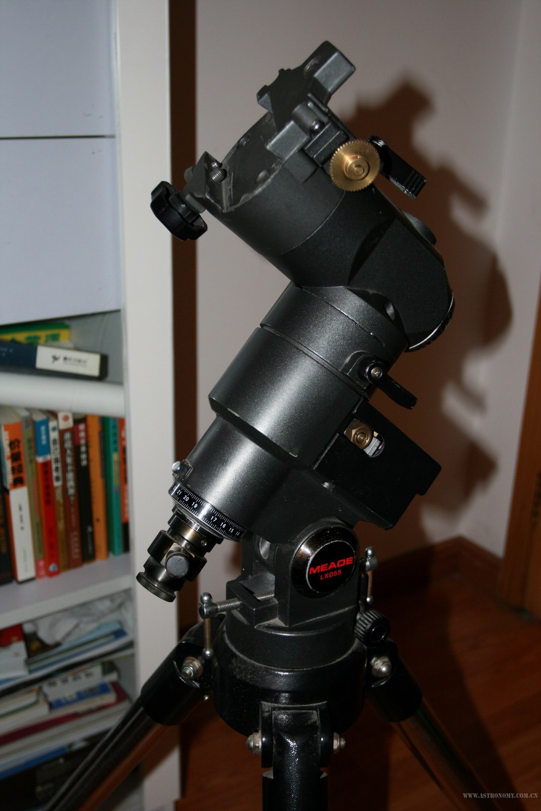 555.jpg