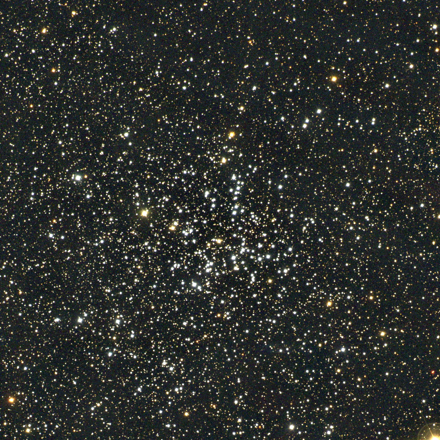 M38.jpg