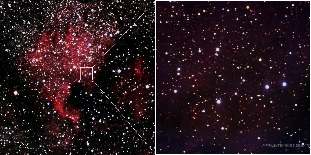 North America Nebula (NGC 7000).JPG