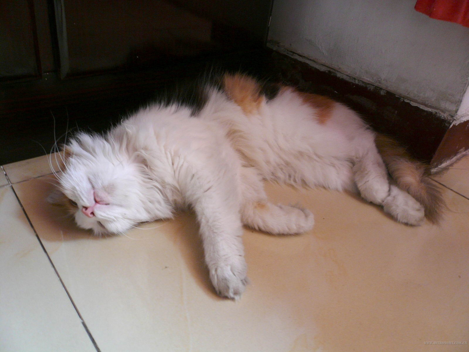 P1010306.jpg