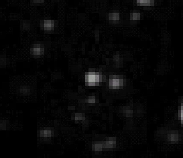 1.gif