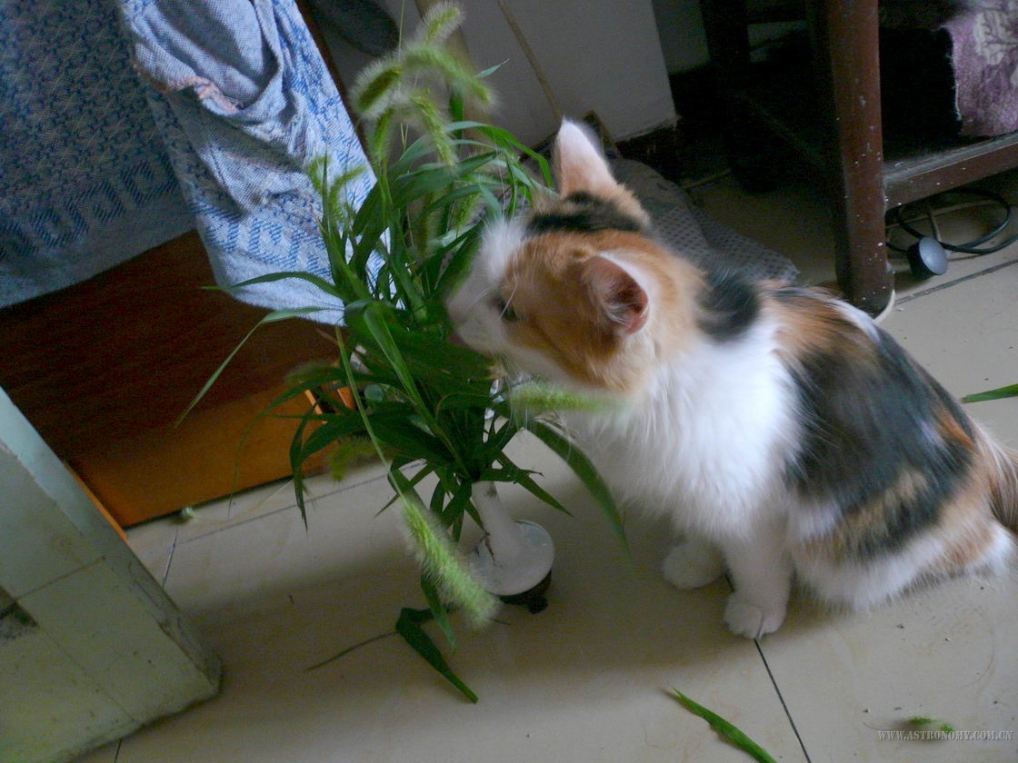 P1010771.jpg