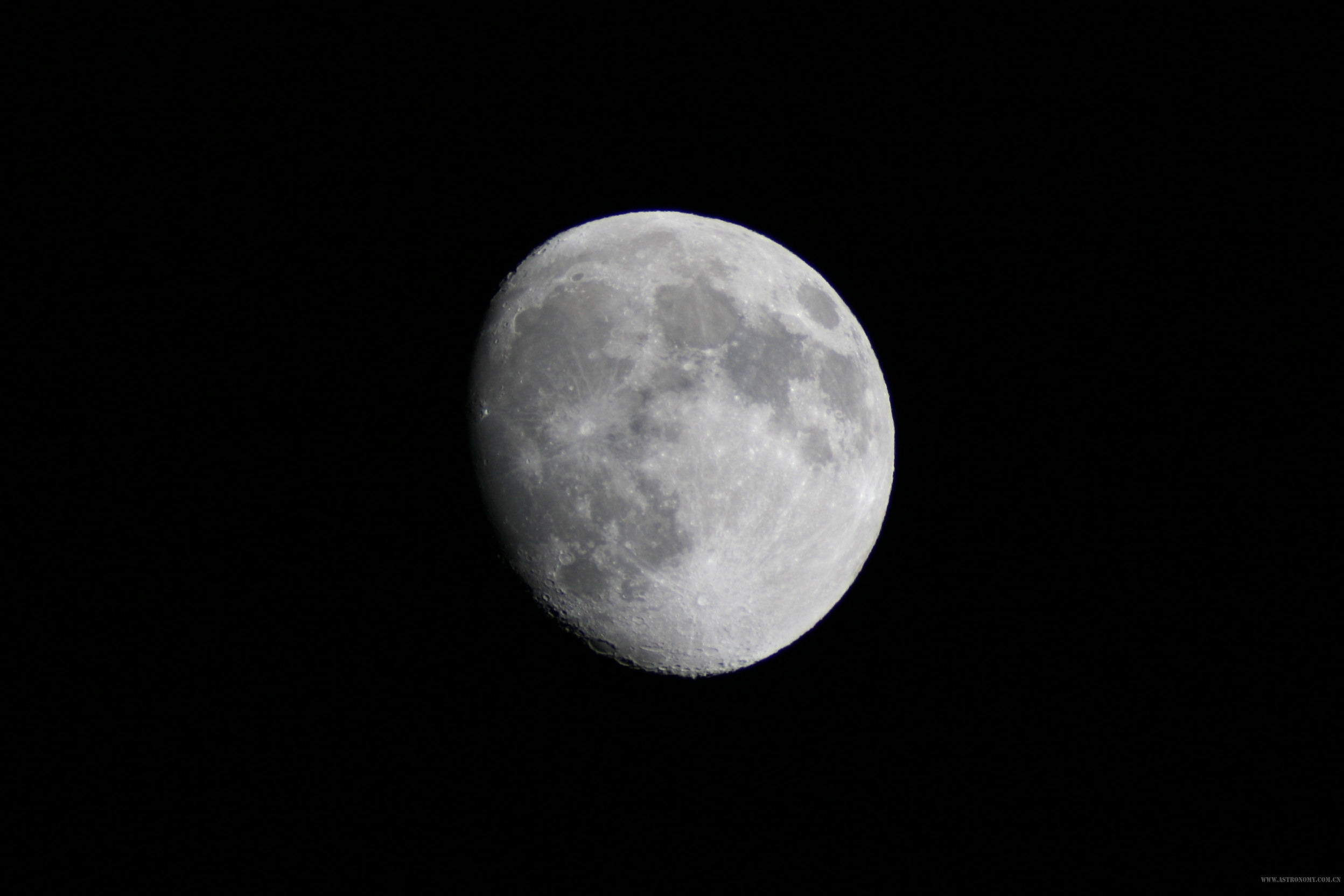 p 012.jpg
