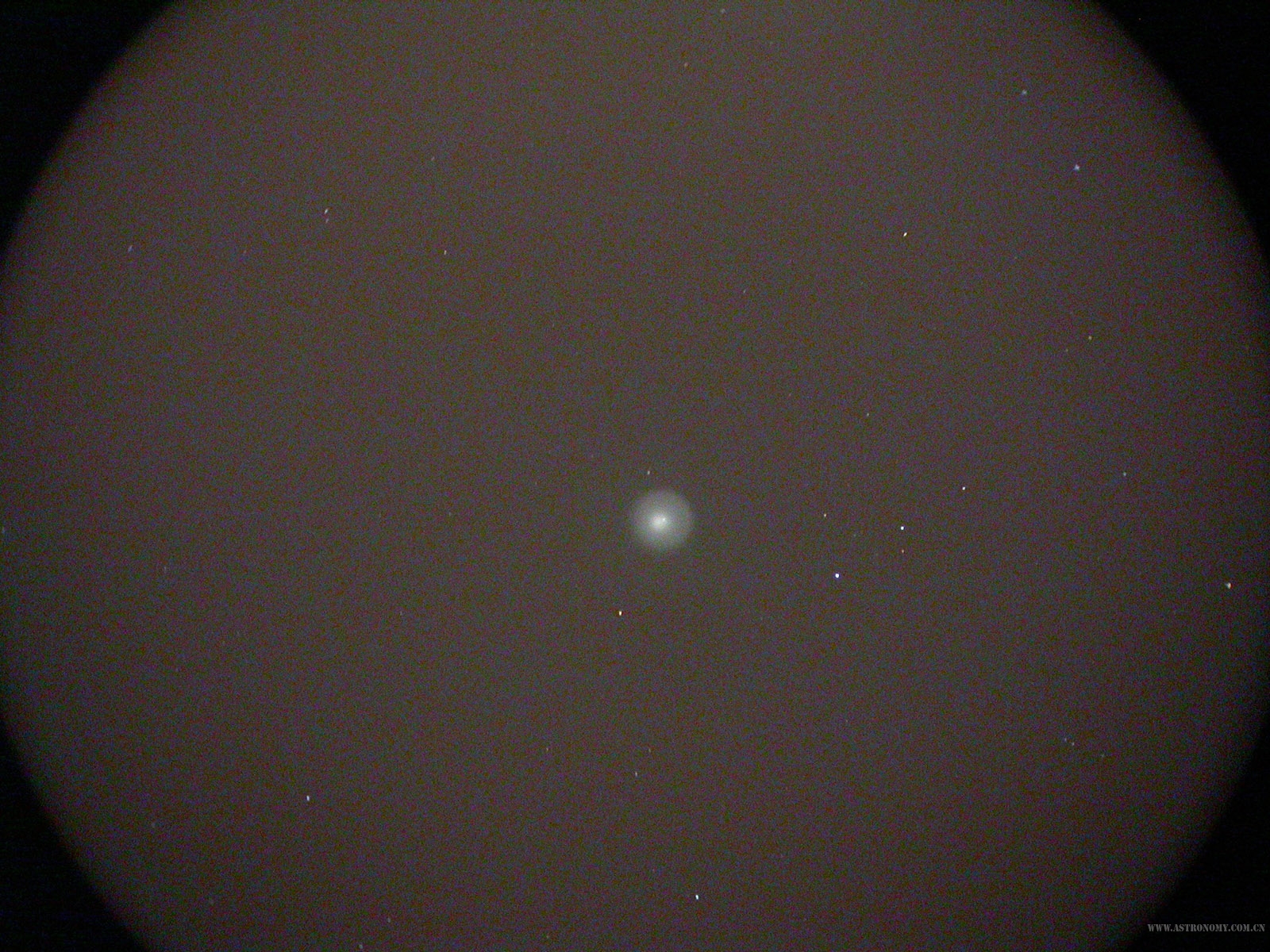 DSCN6417s.jpg